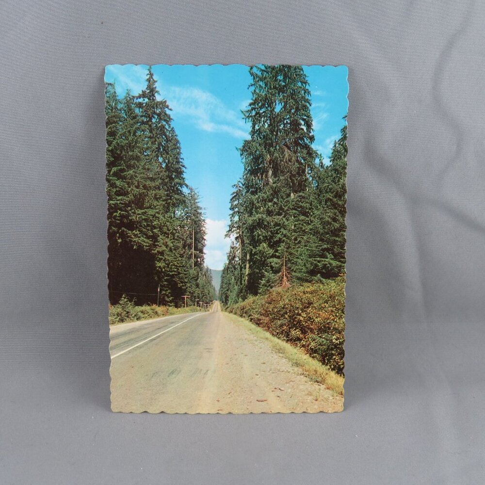 Vintage Postcard - Western Washington Highway - Dexter Press